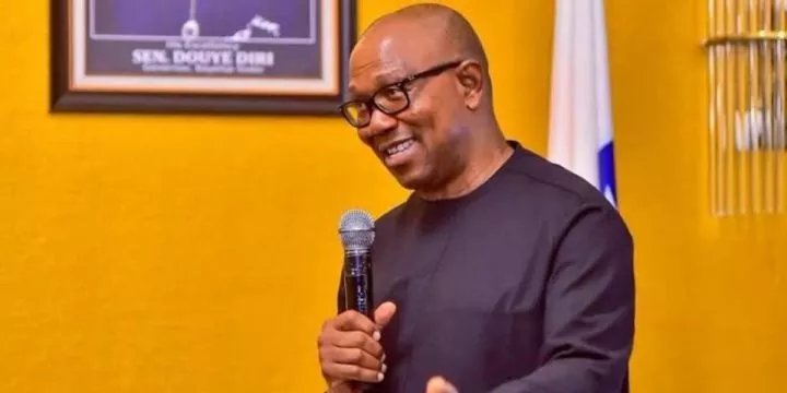 2027: 'I'm willing to accept VP role if...' - Peter Obi