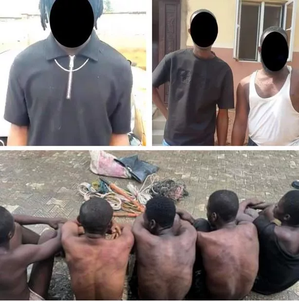 Eight Suspects Arrested For Kidnapping, Cultism And Armed Robbery In Anambra