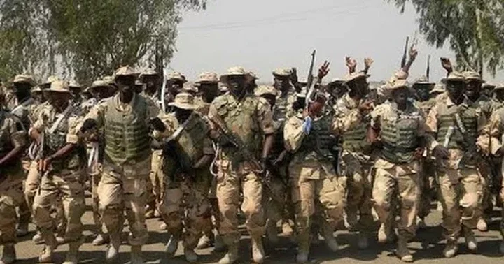 Troops Kill 185 Terrorists, Arrest 212, Rescue 71 Hostages