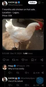 Man shocks many, lists 7-month-old chicken for ₦55k, calls it 'the cheapest'