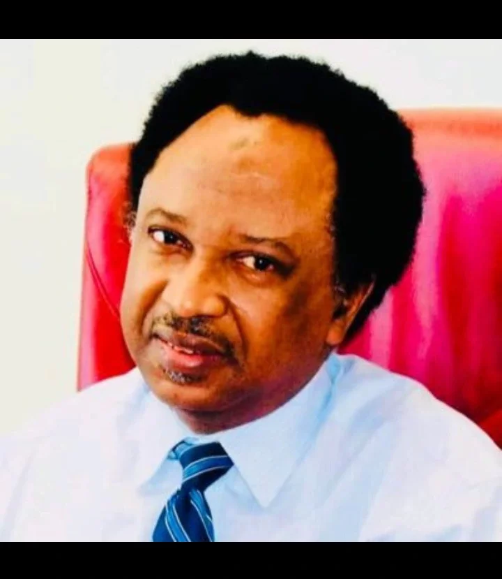 AFCON: Reactions As Shehu Sani Said, One Man Of God Just Quickly Deleted His Prophecy In Facebook