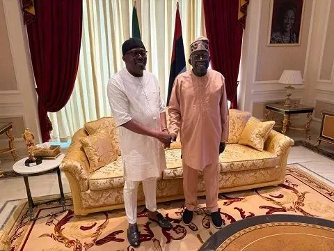 Governor Fubara Holds Private Talks With Tinubu at Presidential Villa