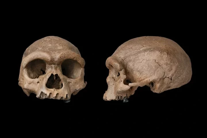 Who were the ancient Denisovans? Fossils reveal secrets about the mysterious humans