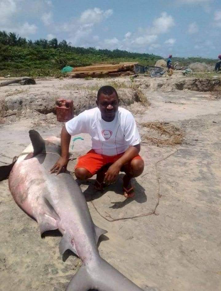 Shark caught in Bayelsa community