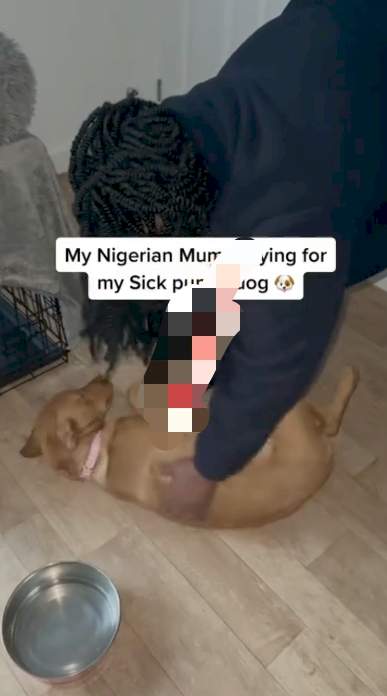 Reactions as Nigerian mum showers prayer of healing on daughter's sick 'dog' (Video)
