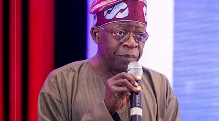 2023: Don't blame Nigerian youths for being lazy - Tinubu