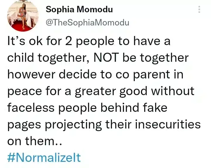 'It's ok for two people to have a child and not be together' - Sophia Momodu pens cryptic note, slams faceless trolls