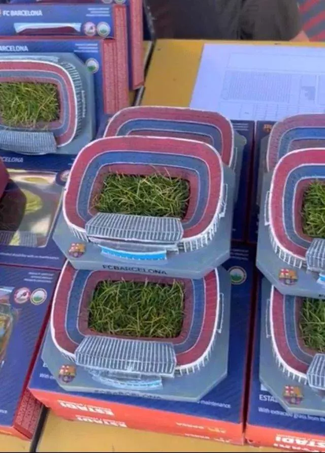 Barcelona begin sale of Camp Nou grass in takeaway packs to raise funds