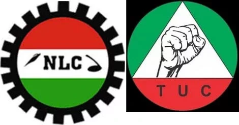 Labour Insists on Indefinite Strike, Condemns FG's Meeting