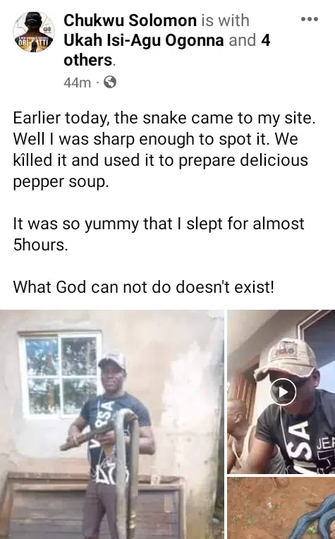 'It was so yummy that I slept for almost 5 hours' - Man kills snake, makes pepper soup with it