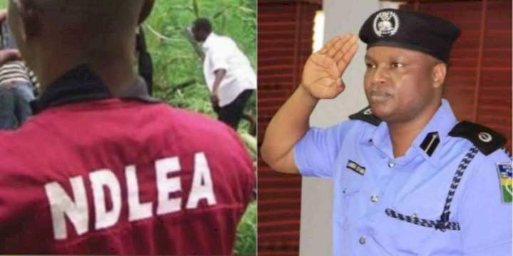 Brazil drug cartel insisted on 50%, they are greedy; Abba Kyari says in transcripts released by NDLEA (Details)