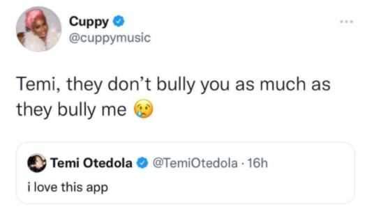 'They don't bully you as much as they bully me' - DJ Cuppy reacts after sister, Temi, expressed love for Twitter