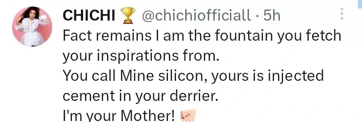 'You call mine silicone, but yours is injected with cement' - Chichi fires back at Phyna