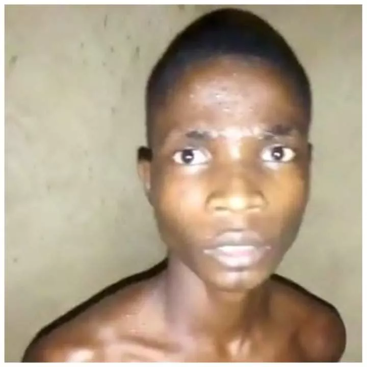 I removed my father's private part for money ritual - 20-year-old boy confesses in Ogun