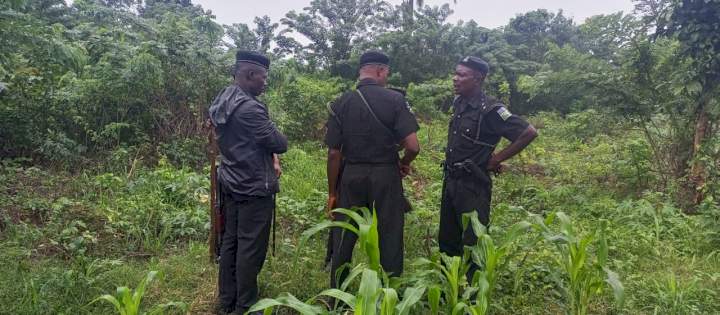 Suspected ritualists kill 65-year-old woman in Osun, pluck out her eyes