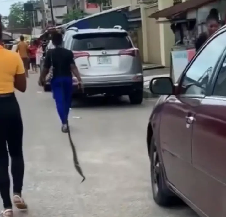 Lady sweeps the street of Uyo with her long braids (Video)