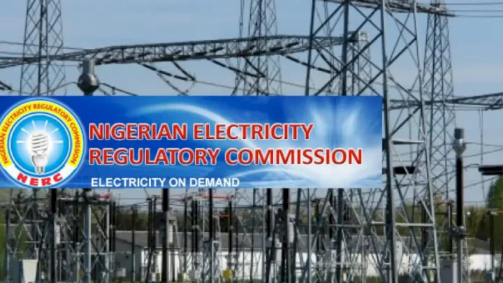 Niger owes Nigeria N4.22bn for electricity supply - NERC