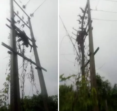 Suspected cable vandal electrocuted in Delta
