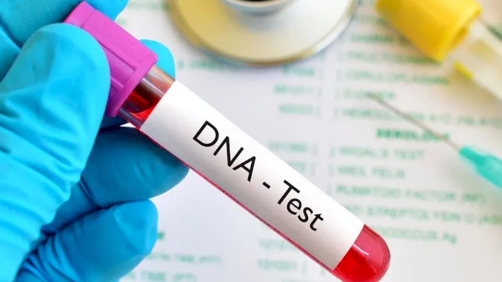 "All tests are wrong" - Woman reportedly insists as DNA test confirms all 5 kids do not belong to husband