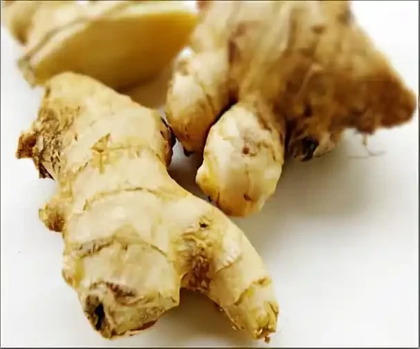 Medical Conditions That Can Be Worsened by the Intake of Ginger.