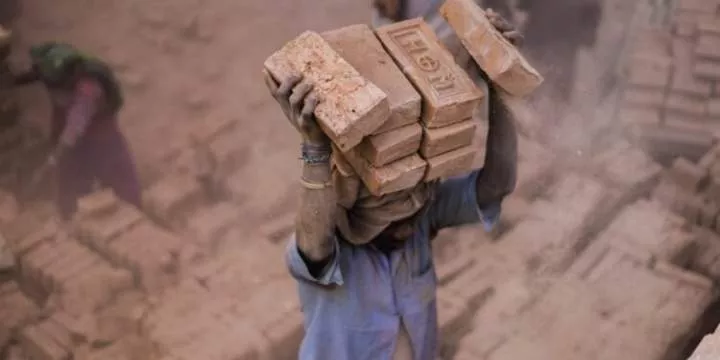 Forced labour generates $236 billion illegal profits annually - ILO