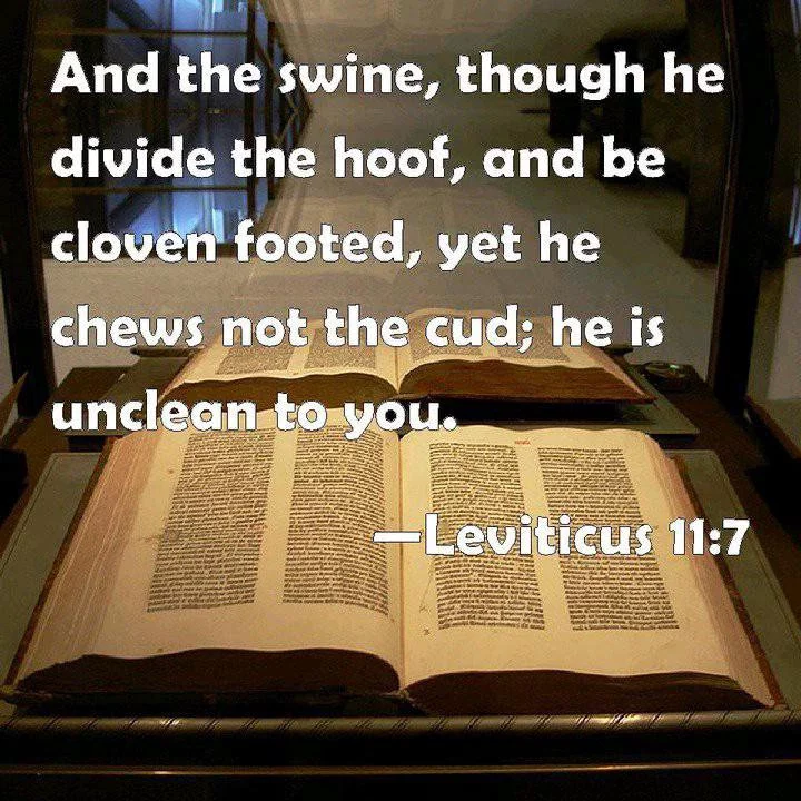 40 Unclean Animals God Forbid But Many Christians To Eat On The Bible