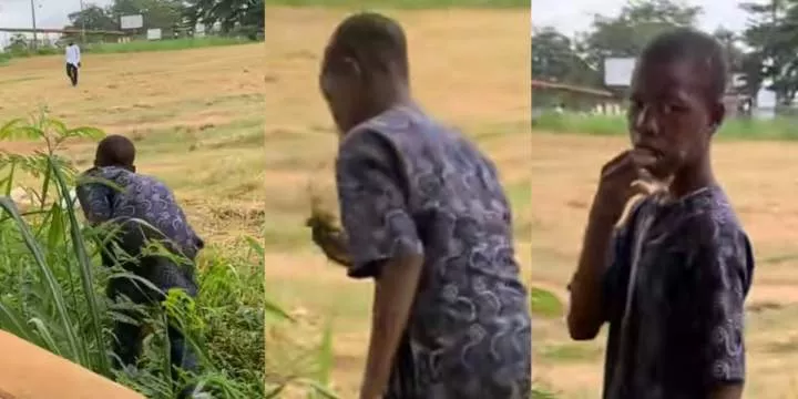 Nigerian boy eats grass amidst hunger crisis
