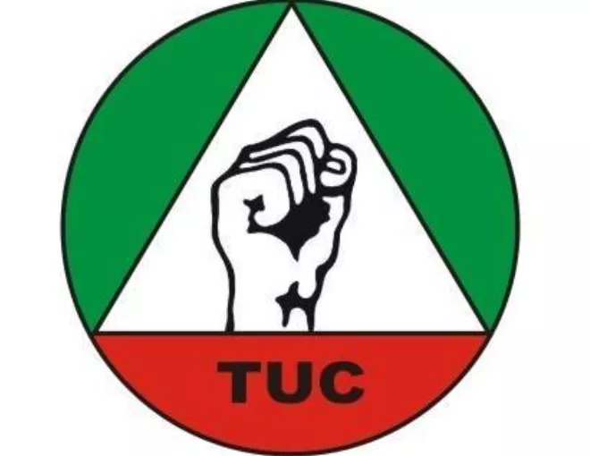 Viral Video: Corps member spoke out of frustration, don't go after her - TUC begs Nigerian govt