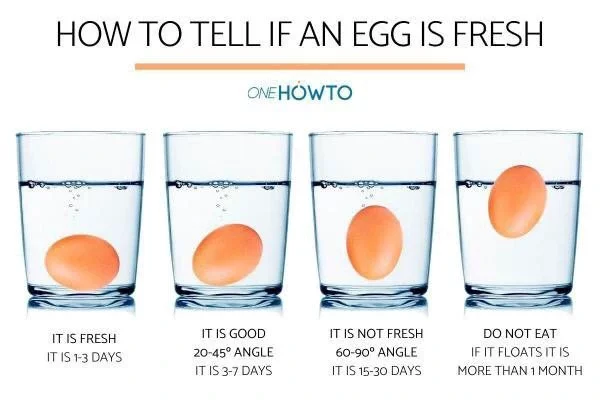 How to tell if an egg is fresh 