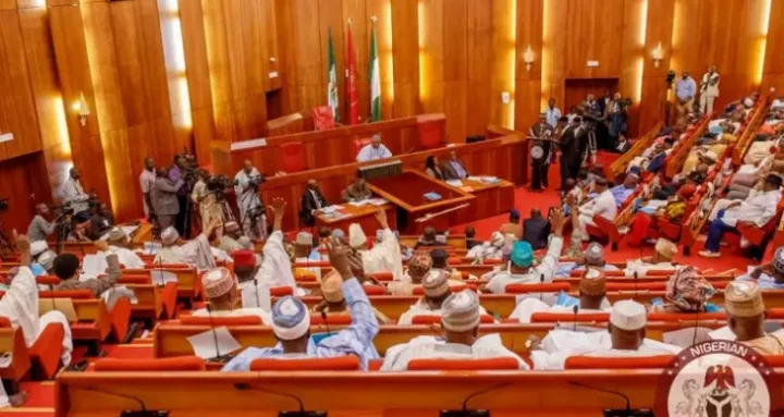 10th NASS: 24 senators have no bill in one year