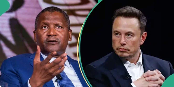 Elon Musk Loses $16bn In 6 Hours, Dangote, Rabiu Also Drop In Billionaire Ranking