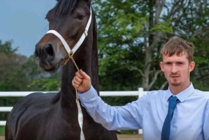 Man caught sexually abusing horses after volunteering at local stables as footage reveals disturbing pattern