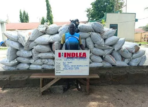 NDLEA Arrests Two Octogenarians, Intercepts N3.2bn Opioids in Port Harcourt (Photos)