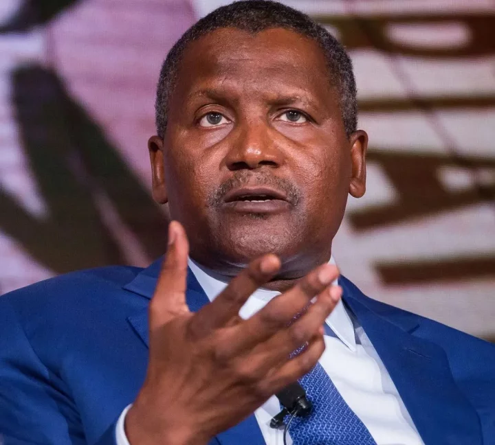 DANGOTE: If we knew the magnitude of what we were going into, we would have ...