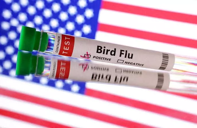 Mutated Bird Flu virus raises concern after being found in US patient