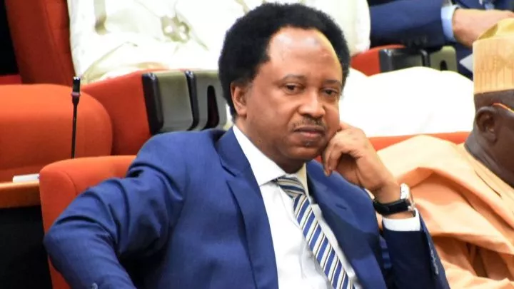 Always Keep Money to Pay Your Lawyer in Case You Are Sued Over What You Say on Social Media - Shehu Sani Warns Always Keep Money to Pay Your Lawyer in Case You Are Sued Over What You Say on Social Media - Shehu Sani Warns