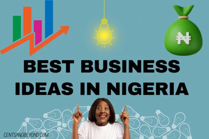 Six Businesses You Can Start with N10,000 In Nigeria 2024