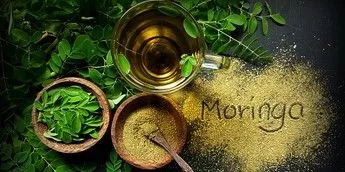 Here's why you should add moringa to your diet