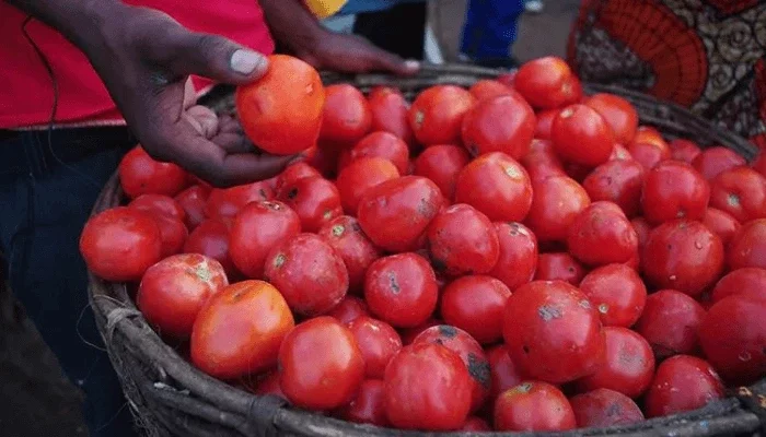 Here are four ways you can preserve tomatoes