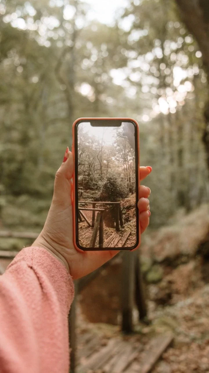 A hand holding a smartphone to take a picture