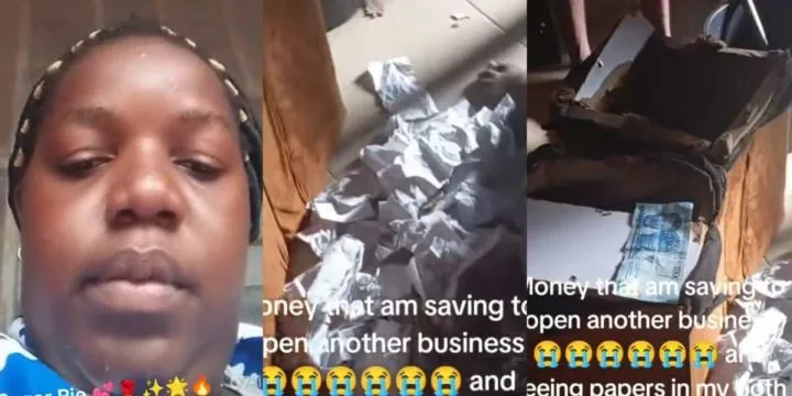 Lady cries out as she breaks her piggy box after months of saving only to see stacks of paper Lady cries out as she breaks her piggy box after months of saving only to see stacks of paper