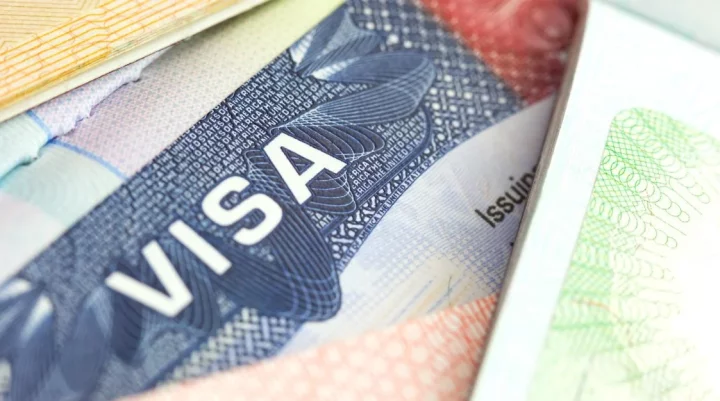 Nigeria, 13 other countries affected as Saudi Arabia suspends blockwork visa