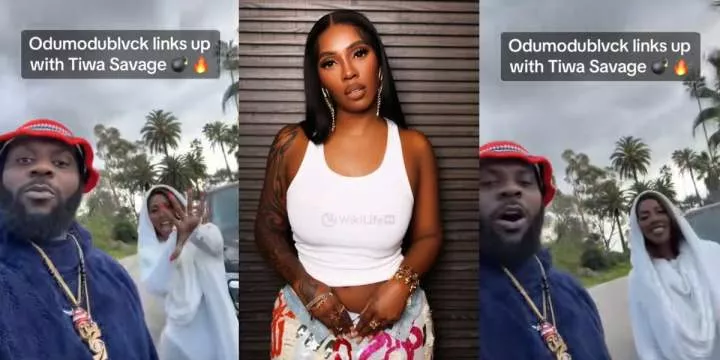 "African bad girl, No. 1" - Excitement as Odumodublvck links up, showers praises on Tiwa Savage