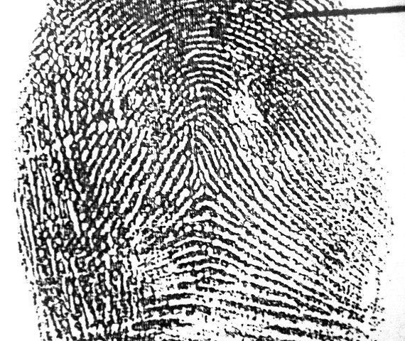 8 Different Types of Fingerprints