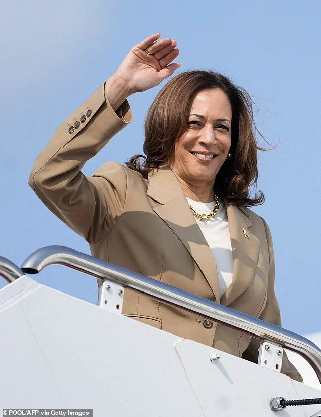 With Kamala Harris getting a significant bump in popularity since announcing she's running for president, voters have offered their take on the contenders to replace Harris as VP