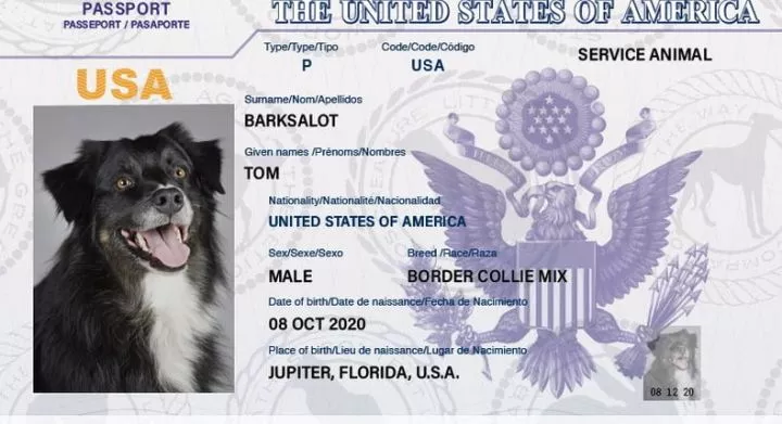 Did you know you can get a passport for your pet?