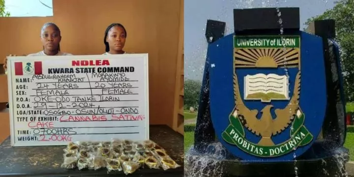 NDLEA arrests Unilorin graduate, student for producing and selling drug-laced cupcakes