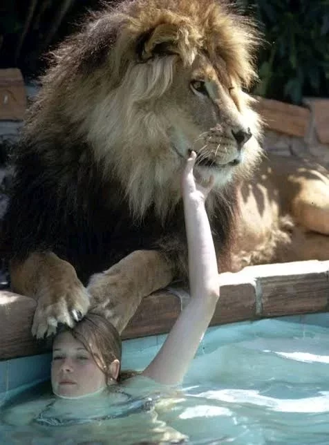 See People Who Used Lions as Their Pet (Photos)