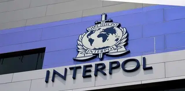 Interpol seizes $300M, arrests 3,500 people in sting operation across Nigeria, Ghana, others