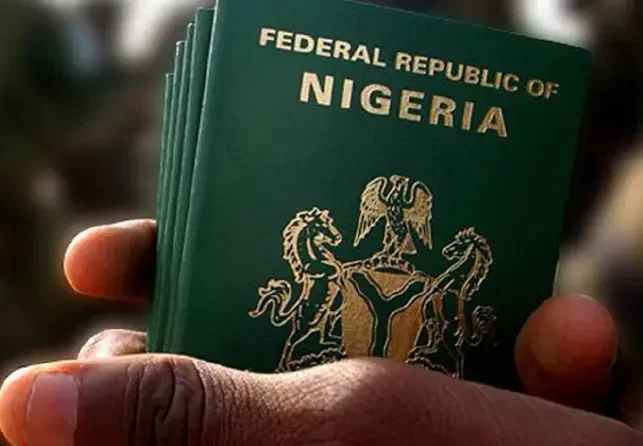 Nigerian passport covers 45 visa-free countries in 2024